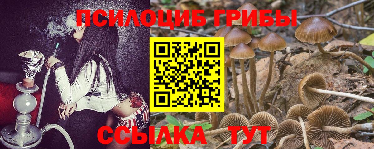 Псилоцибиновые грибы Magic Shrooms  купить закладку  Городец  Вход с VPN 