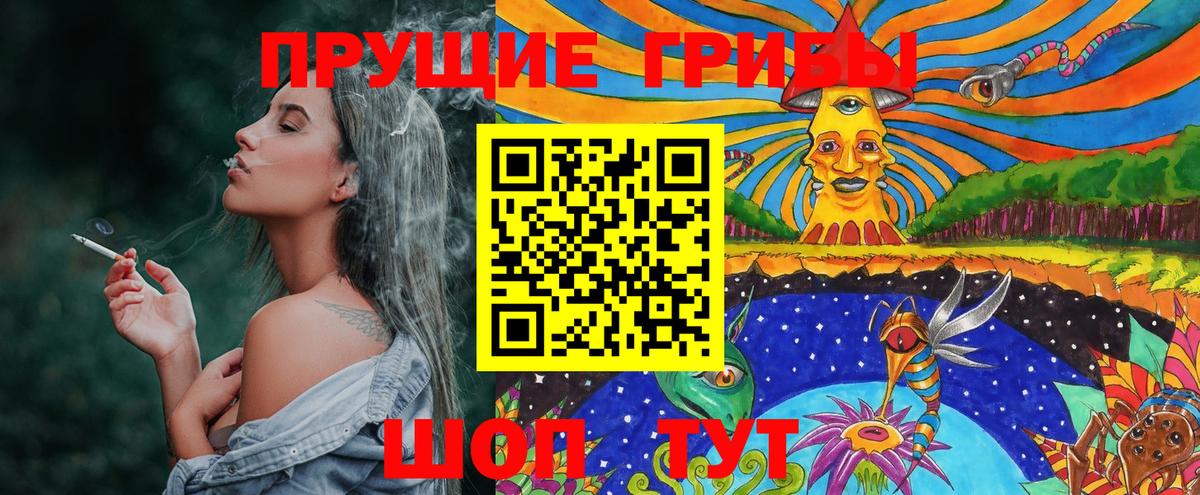 Псилоцибиновые грибы Cubensis Городец